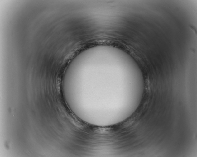 X0000099540664200805160750
