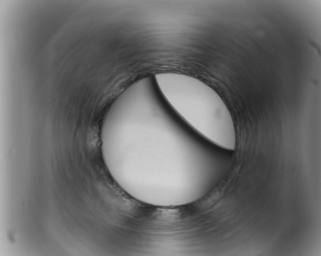 X0000099540665200805160750