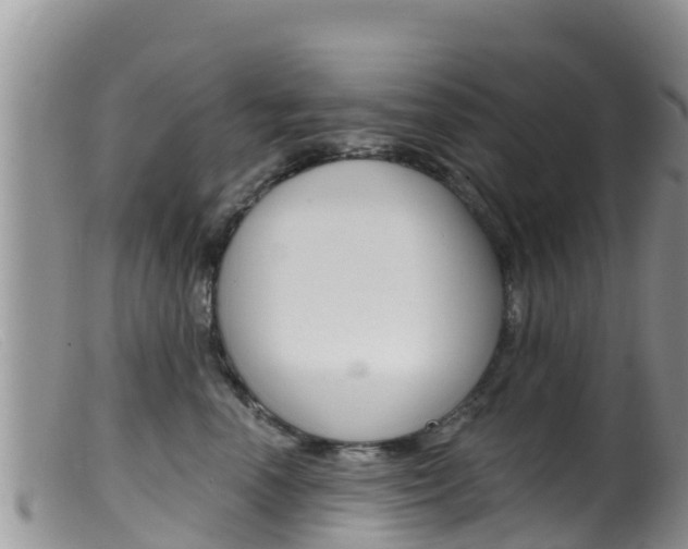 X0000099540666200805160750