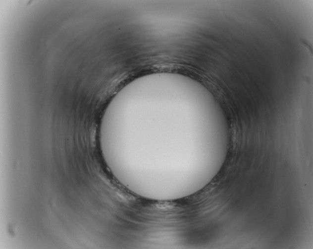 X0000099540668200805160750