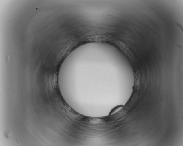 X0000099540669200805160750