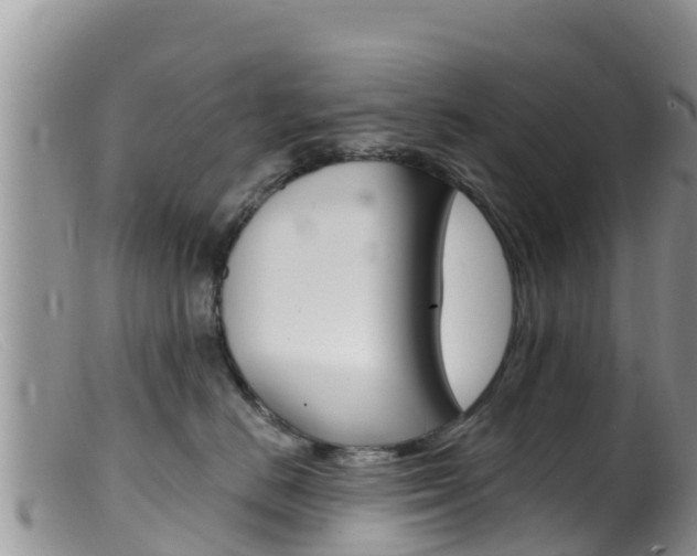 X0000099540670200805160750