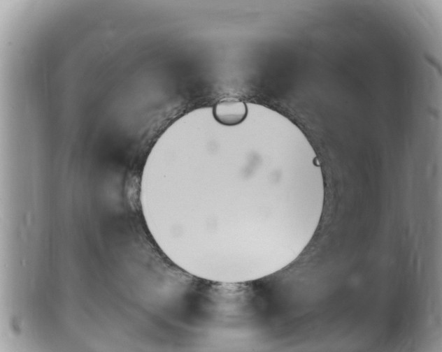 X0000099540672200805160750