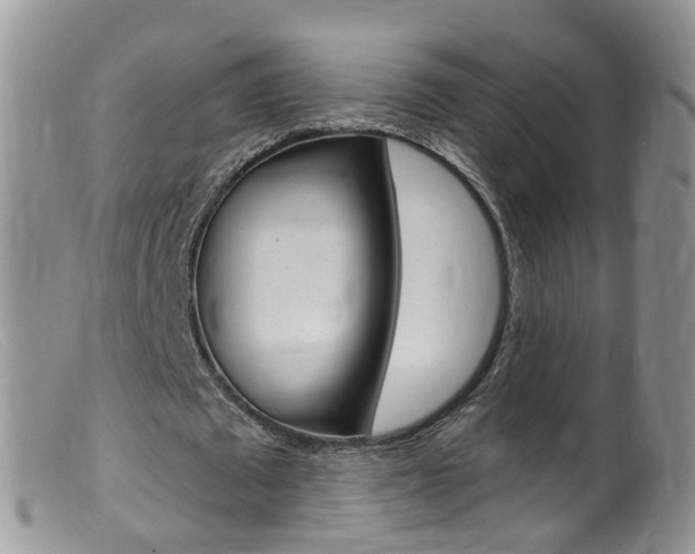 X0000099540673200805160749