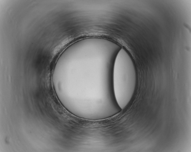 X0000099540675200805160749