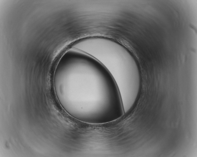 X0000099540676200805160749