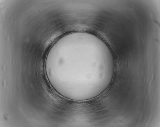 X0000099540679200805160749