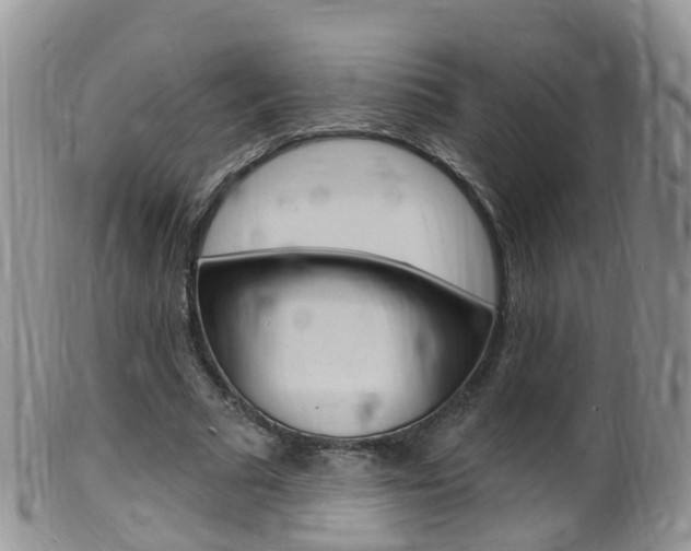 X0000099540681200805160749