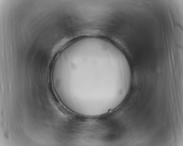 X0000099540682200805160749