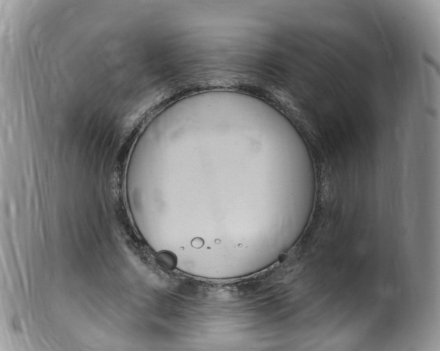 X0000099540683200805160749
