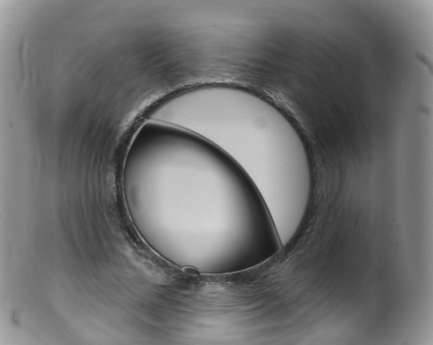 X0000099540684200805160749