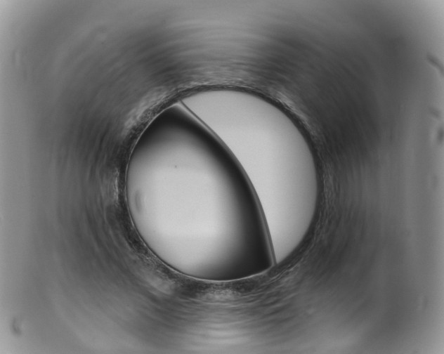 X0000099540685200805160749