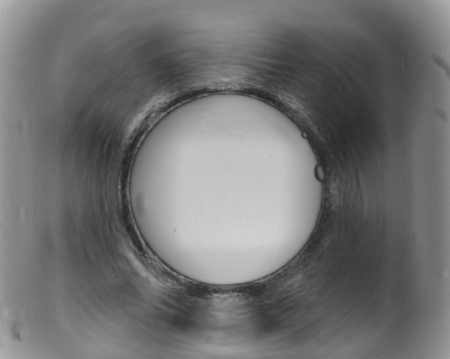 X0000099540686200805160749