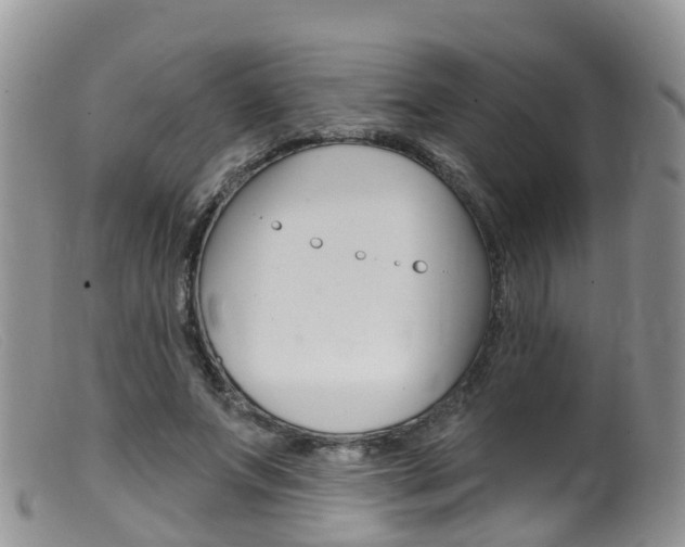 X0000099540687200805160749