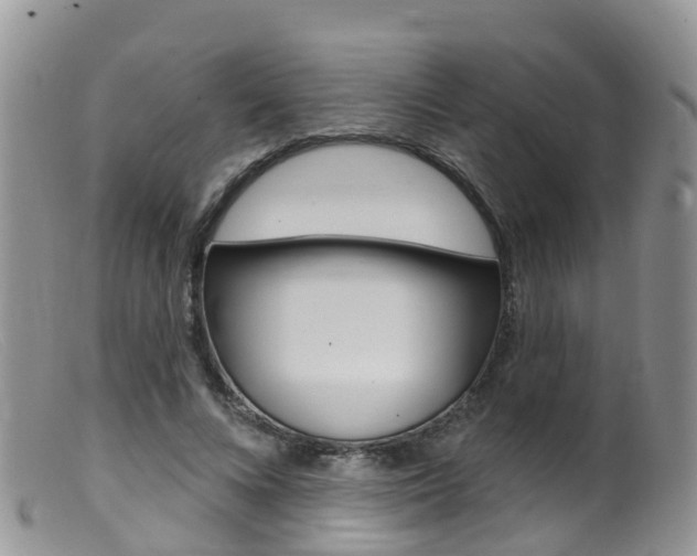 X0000099540688200805160749