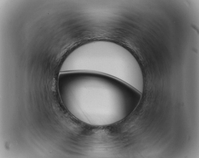 X0000099540689200805160749
