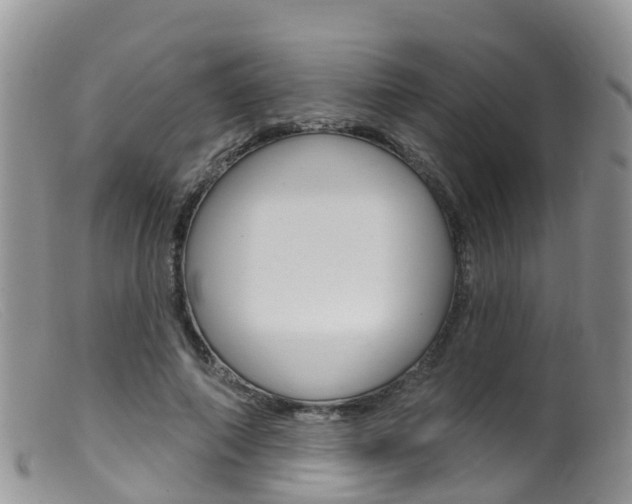X0000099540690200805160749