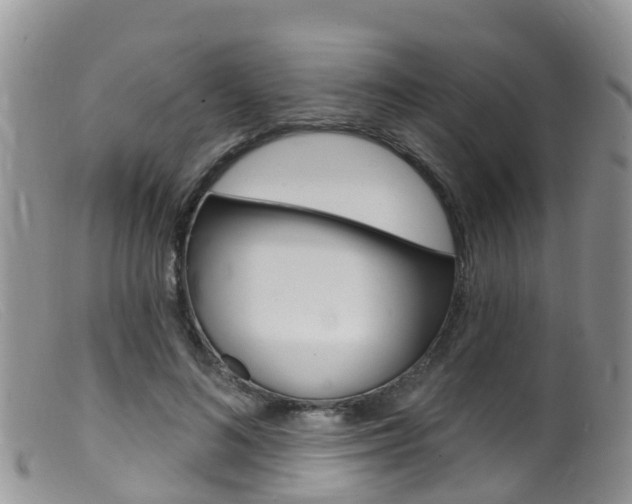 X0000099540692200805160749