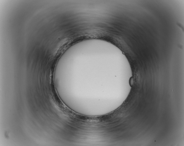 X0000099540694200805160749