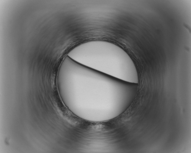 X0000099540695200805160749