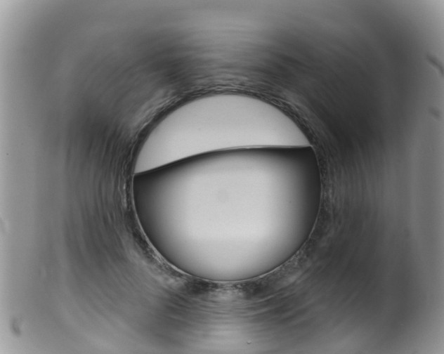 X0000099540696200805160749