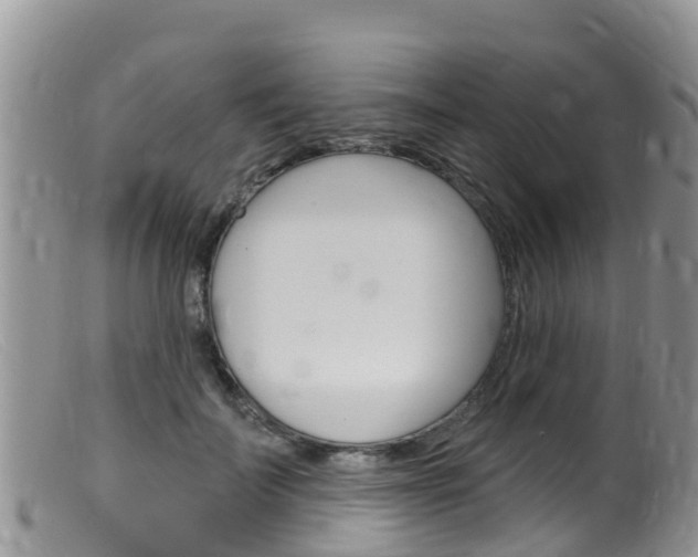 X0000099540699200805160749