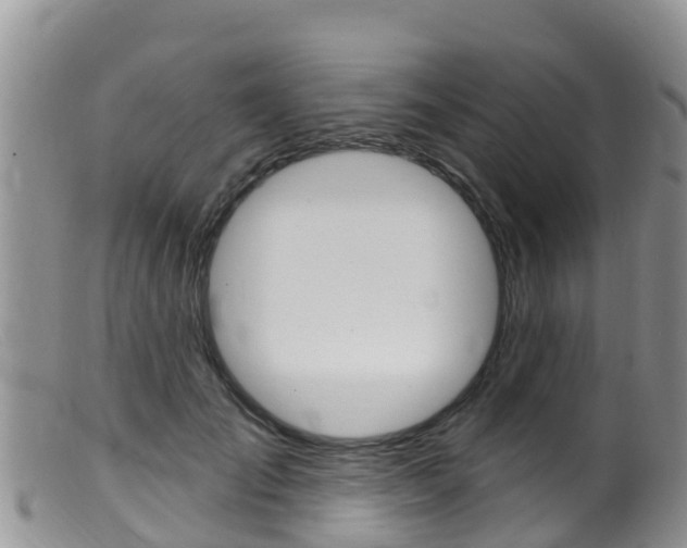 X0000099540701200805160749