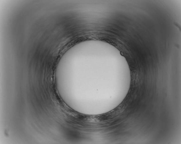 X0000099540702200805160749