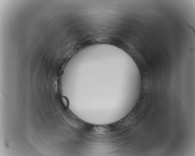 X0000099540703200805160749