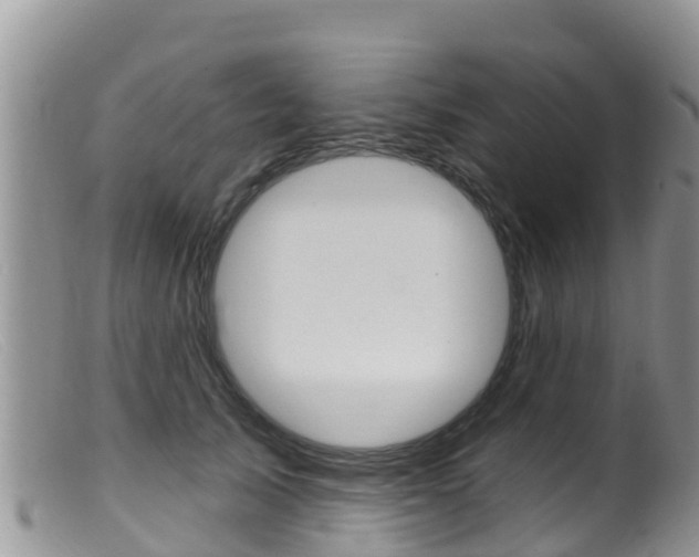 X0000099540705200805160749