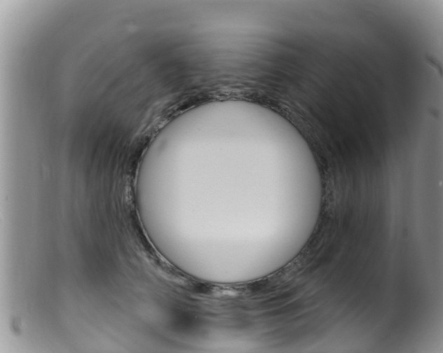 X0000099540706200805160749