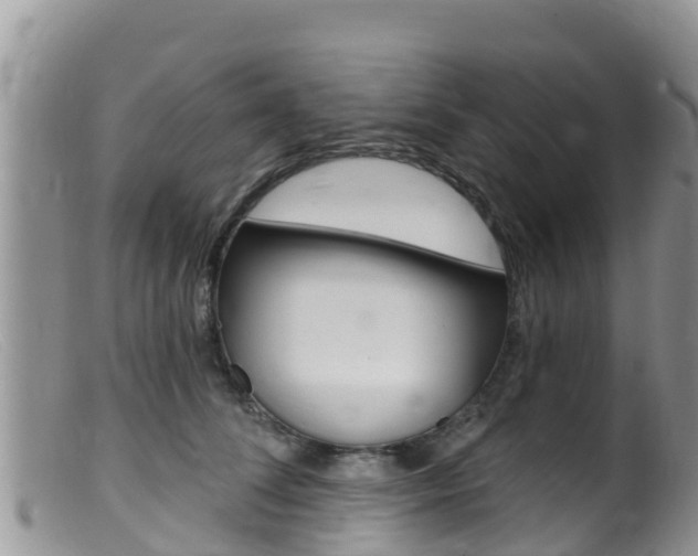 X0000099540708200805160749