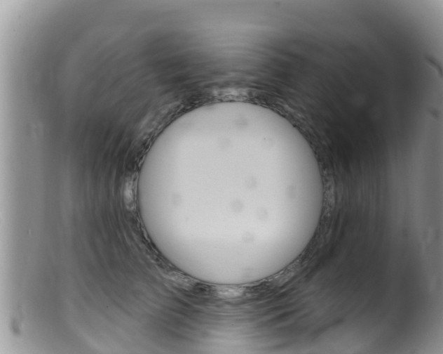 X0000099540709200805160749