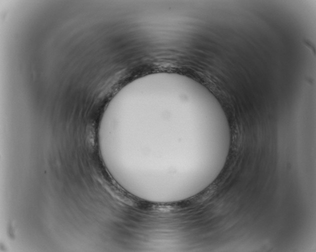 X0000099540710200805160749
