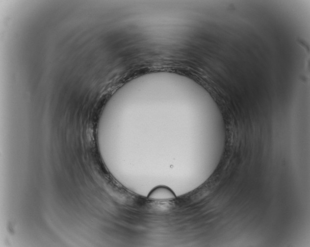 X0000099540711200805160749