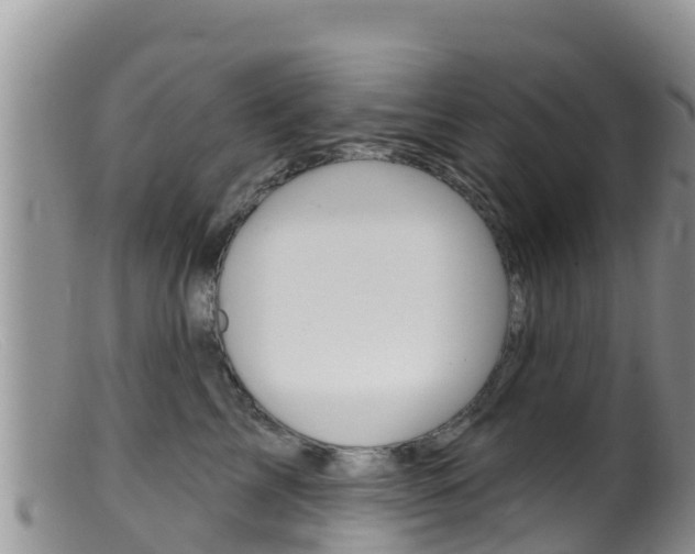 X0000099540713200805160749