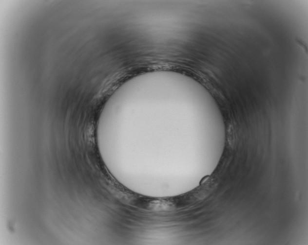 X0000099540714200805160749