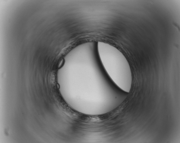 X0000099540715200805160749