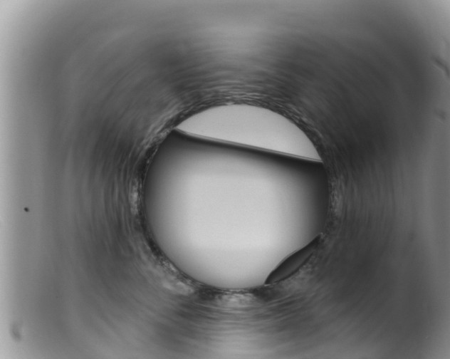 X0000099540716200805160749