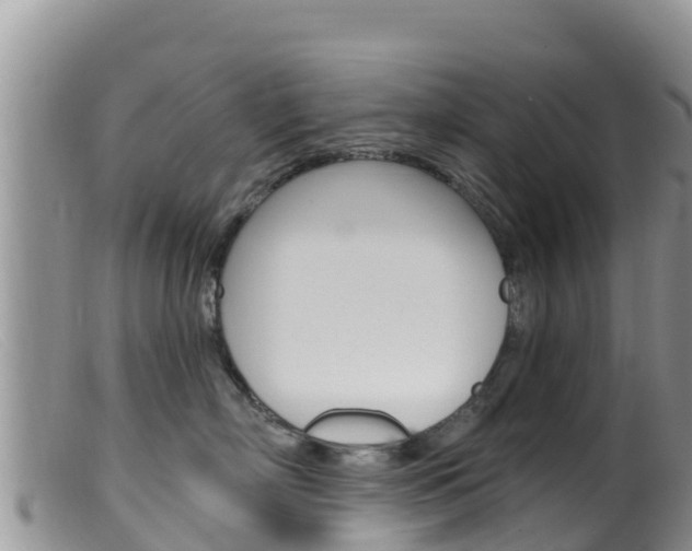 X0000099540718200805160749