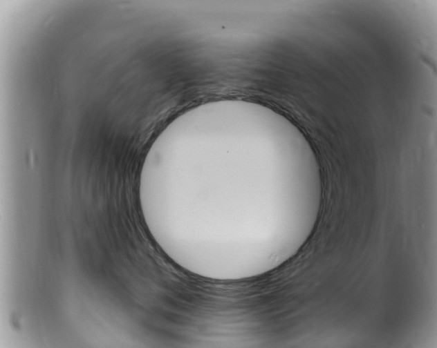 X0000099540720200805160749