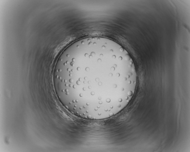 X0000099540721200805160748