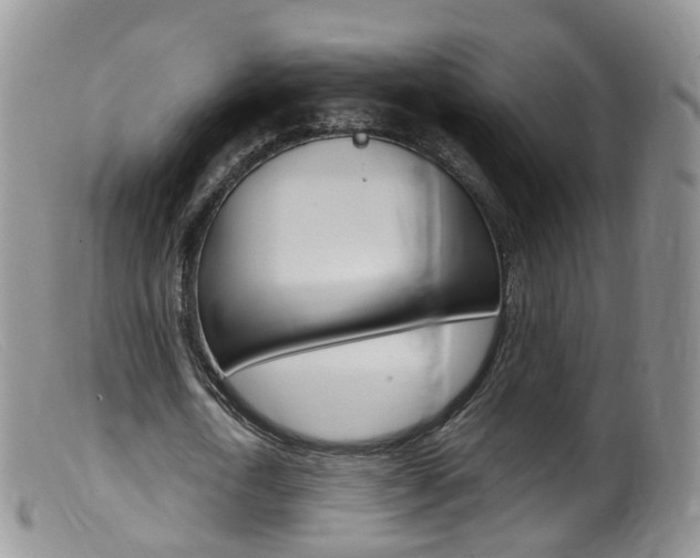 X0000099540722200805160748