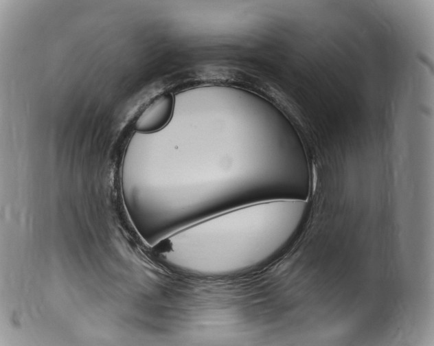 X0000099540723200805160748