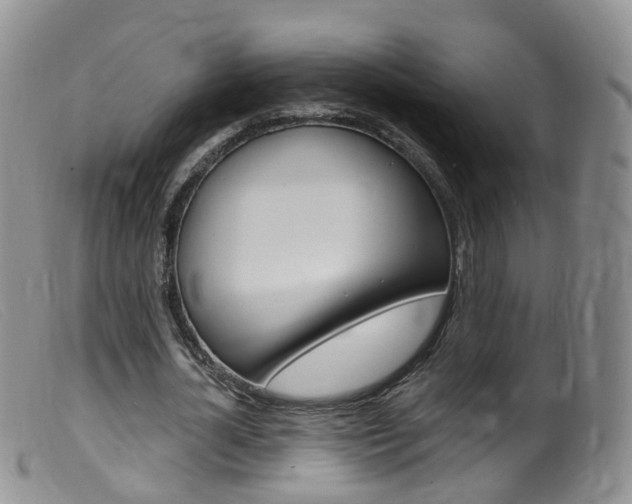 X0000099540724200805160748