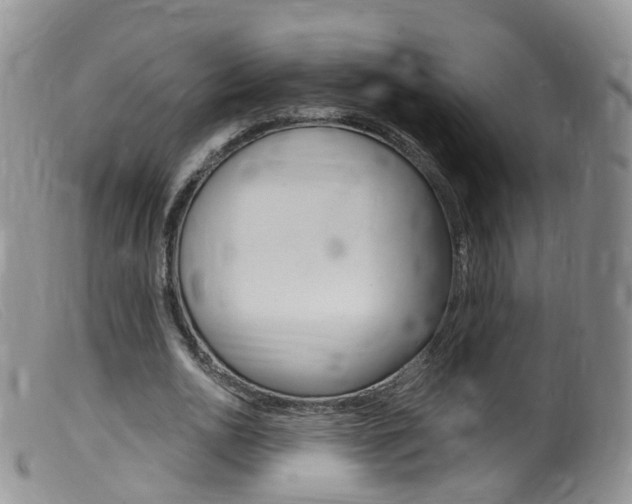X0000099540726200805160748