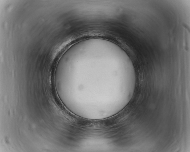 X0000099540727200805160748