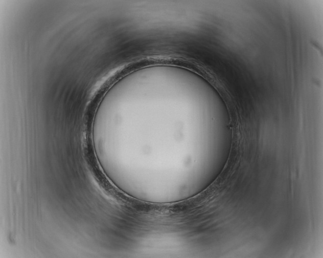 X0000099540728200805160748