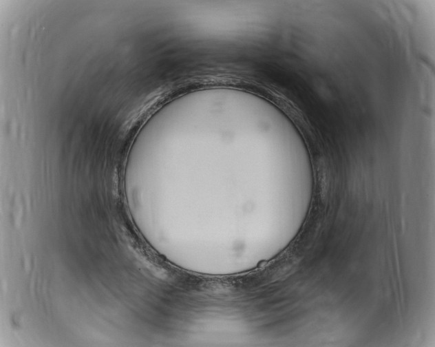 X0000099540729200805160748