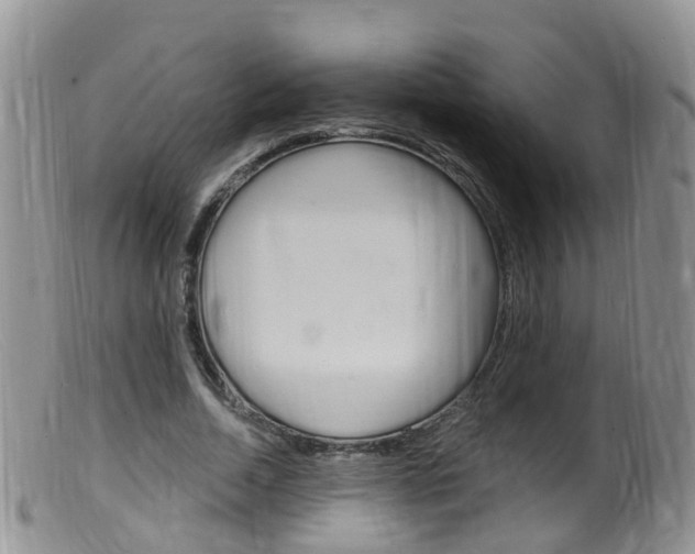 X0000099540730200805160748